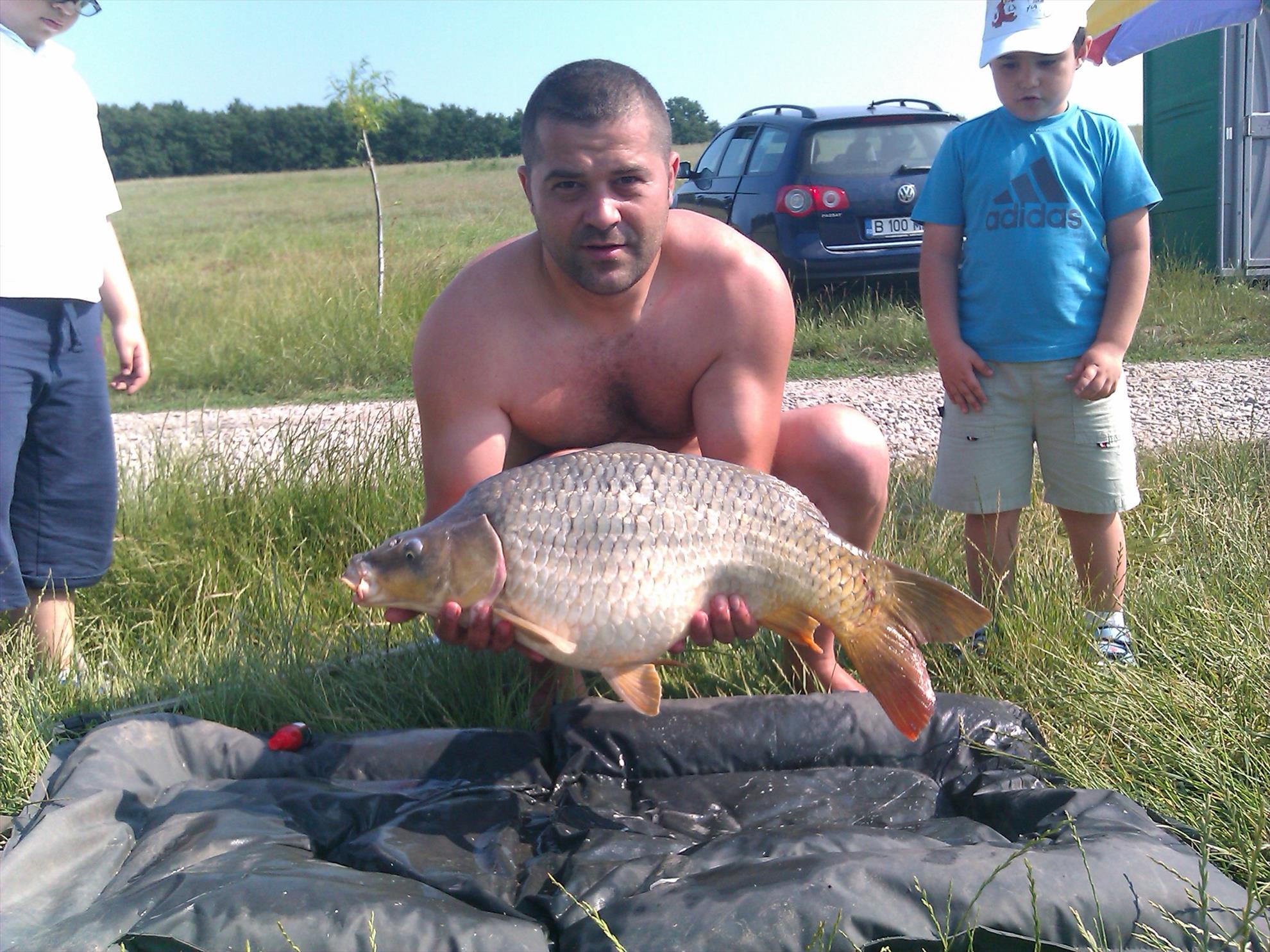 peste - picture-002.jpg